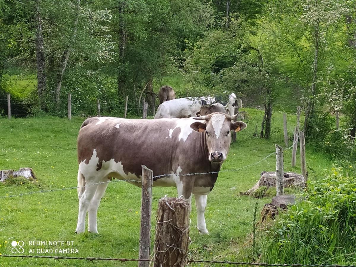 La Chaussee D'Olivet En Mayenne Exterior foto