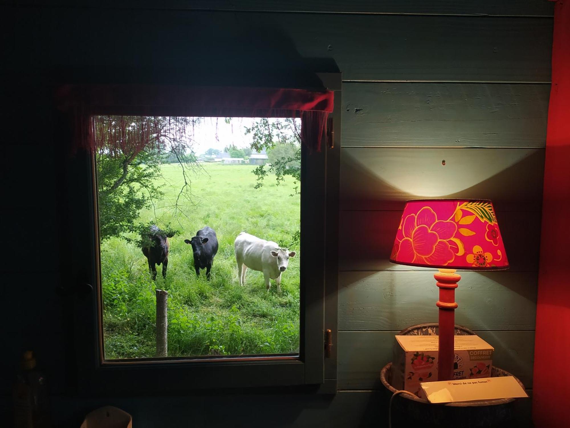 La Chaussee D'Olivet En Mayenne Habitación foto